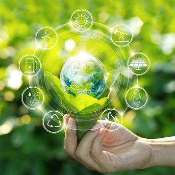 Sustainable growth