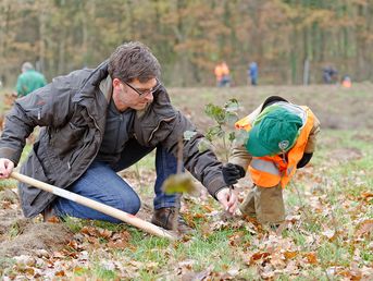 Initiative Pro Klima: Tree planting, Germany/Sarlhusen