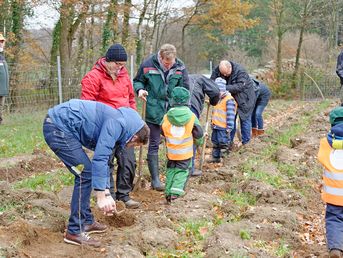 Initiative Pro Klima: Tree planting, Germany/Sarlhusen