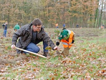 Corporate citizenship & engagement