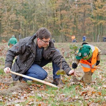 Corporate citizenship & engagement