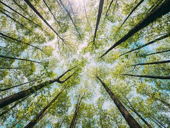 Responsibility & sustainability