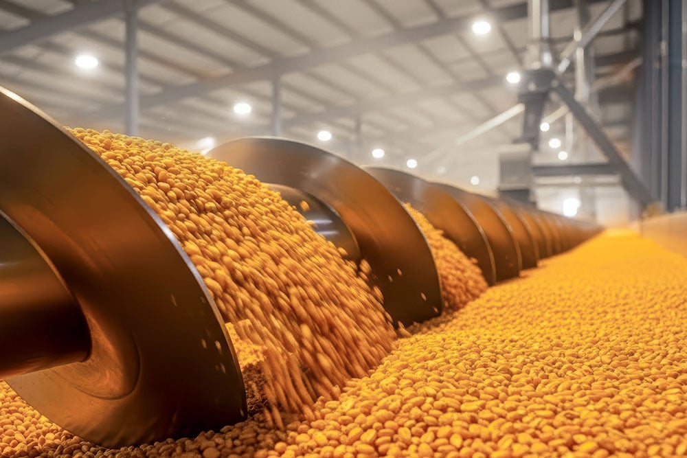 Grain for drying