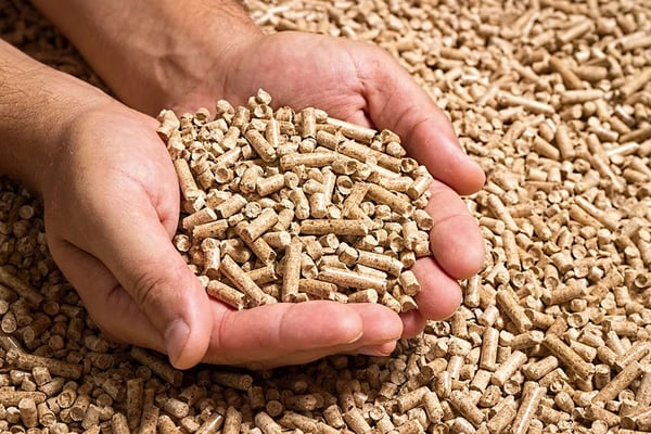 Wood pellets in hands as a sustainable fuel for efficient residential heating systems 