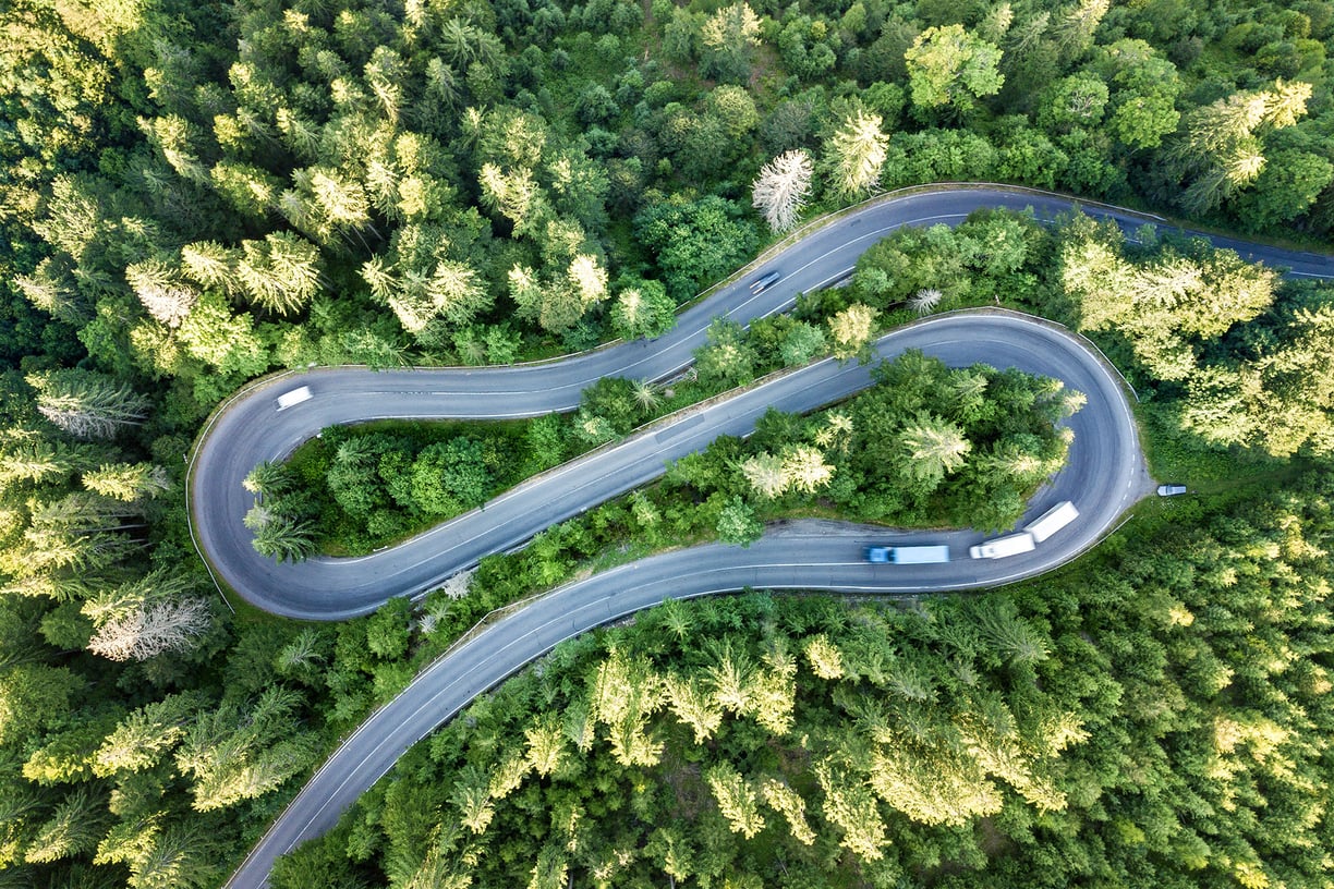 image_wald-strasse_AdobeStock_327175915_Standardlizenz_2022-02-21_web