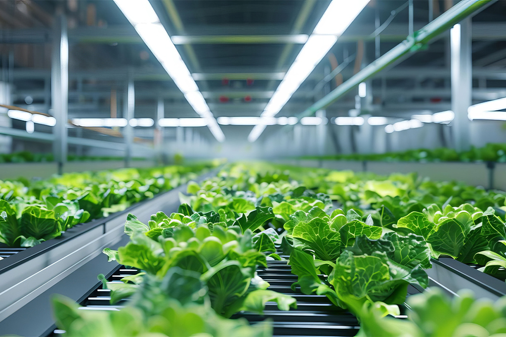 Automated supply of critical processes