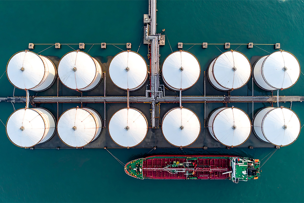 Tank farms and terminal infrastructure for the storage and distribution of marine fuels 