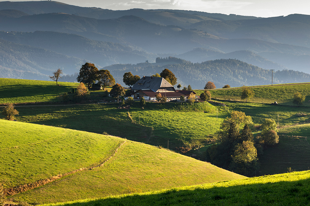 02_09_AdobeStock_223812390