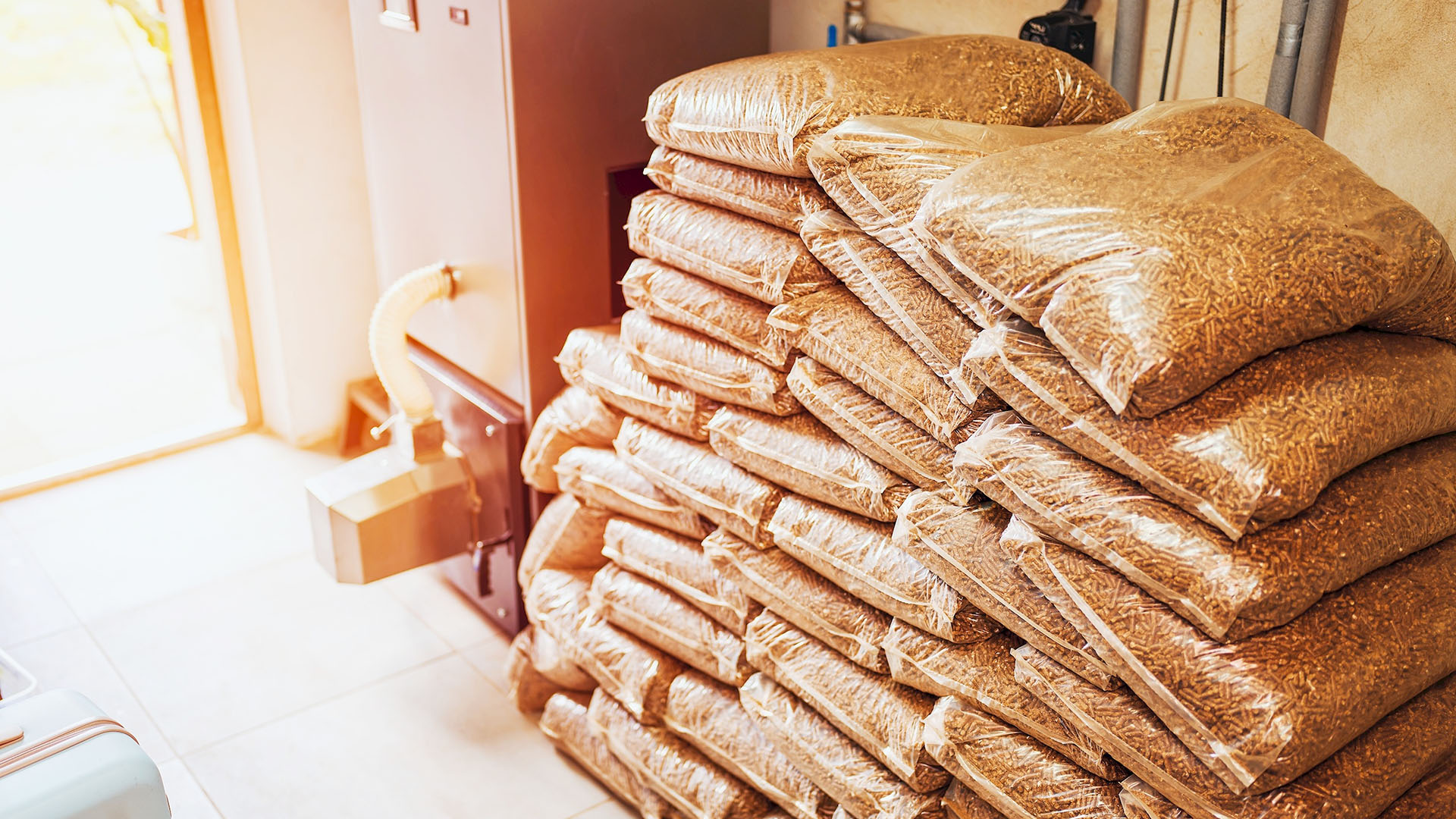 02_04_02_AdobeStock_1870859679