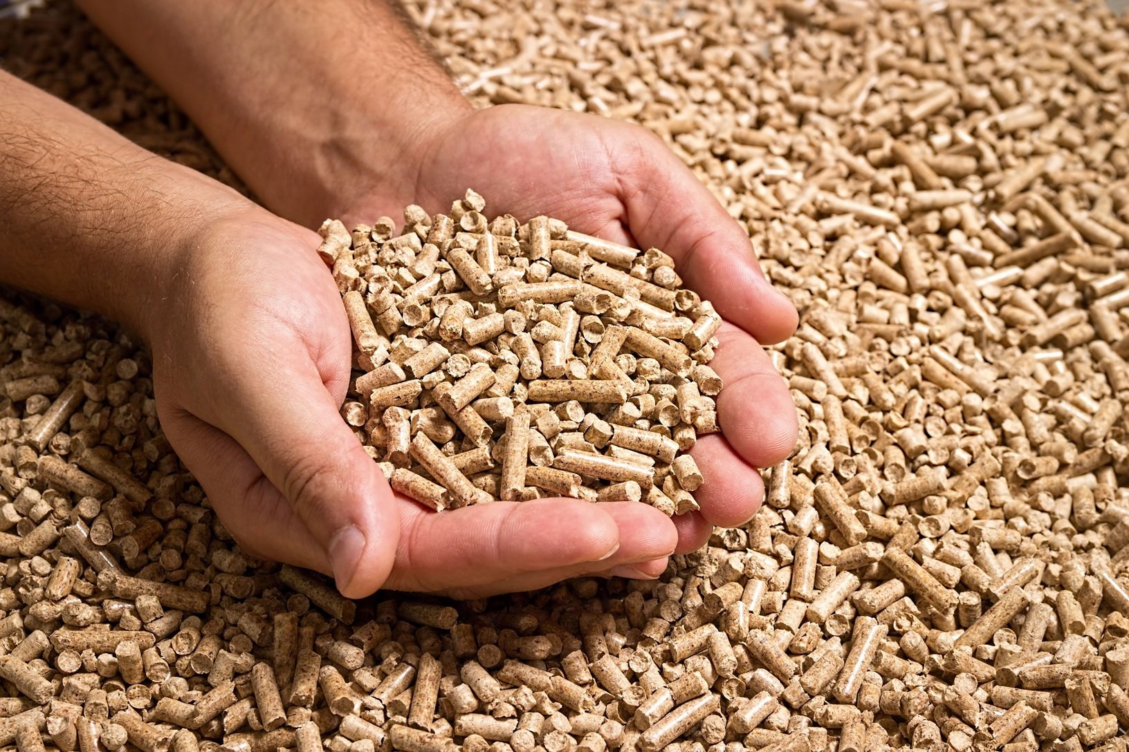 Pellets from renewable raw materials