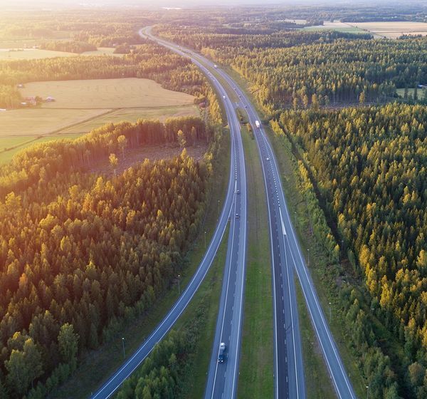 Autobahn Baeume Biodiesel