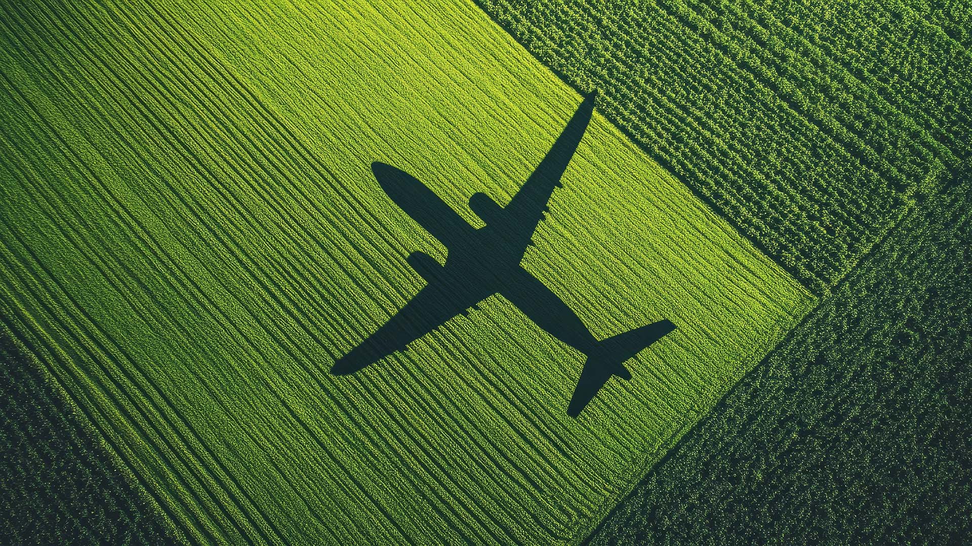 Air transportation solutions showcasing innovation and efficiency